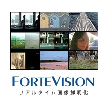  リアルタイム 画像鮮明化IP『ForteVision』