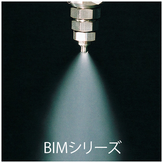 BIMV.jpg