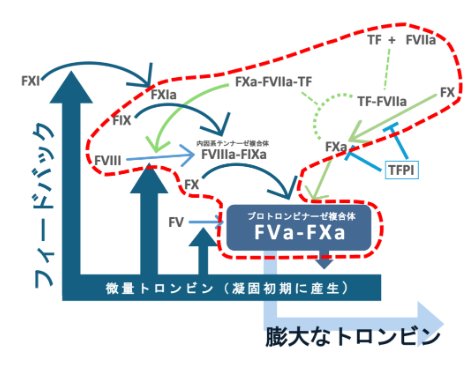 高感度トロンビン産生試験SMAT-FVIII/IXキット