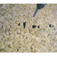 Water jet cutting processing for automobiles, CAD/CAM