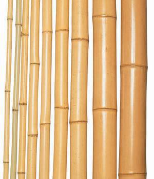 晒竹 晒竹（さらしたけ）銘竹ボード | 商品紹介 | 梶本銘木店「世界の優良