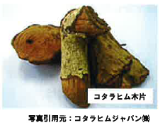 健康食品素材「コタラヒムブツ」