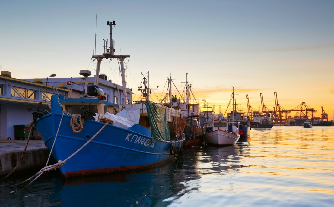 特殊コンテナ 海上輸送サービス