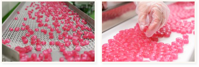 キャンディのＯＥＭ製造・ＰＢ製品開発サービス