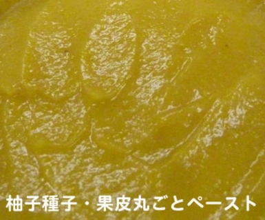 受託加工　ペースト加工