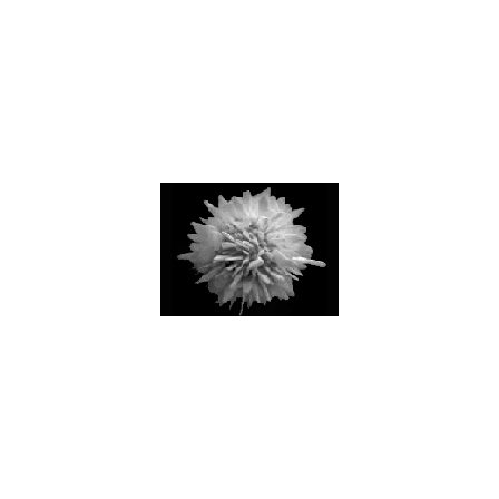 tk2.gif