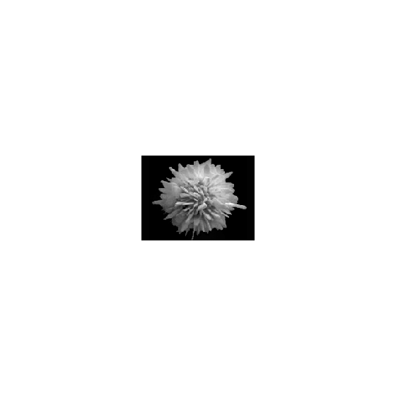 tk2.gif