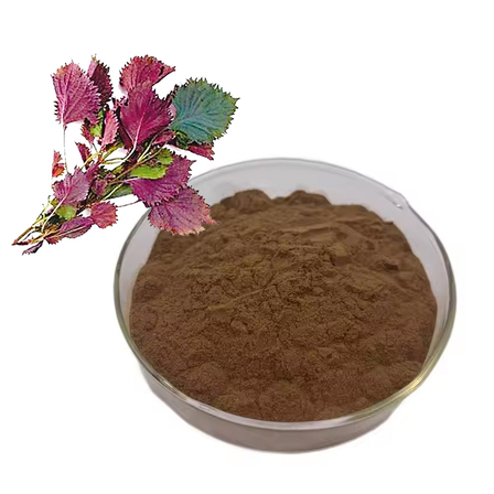 Perilla