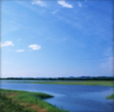 【水質浄化】環境改善資材『ビオトープサンド』