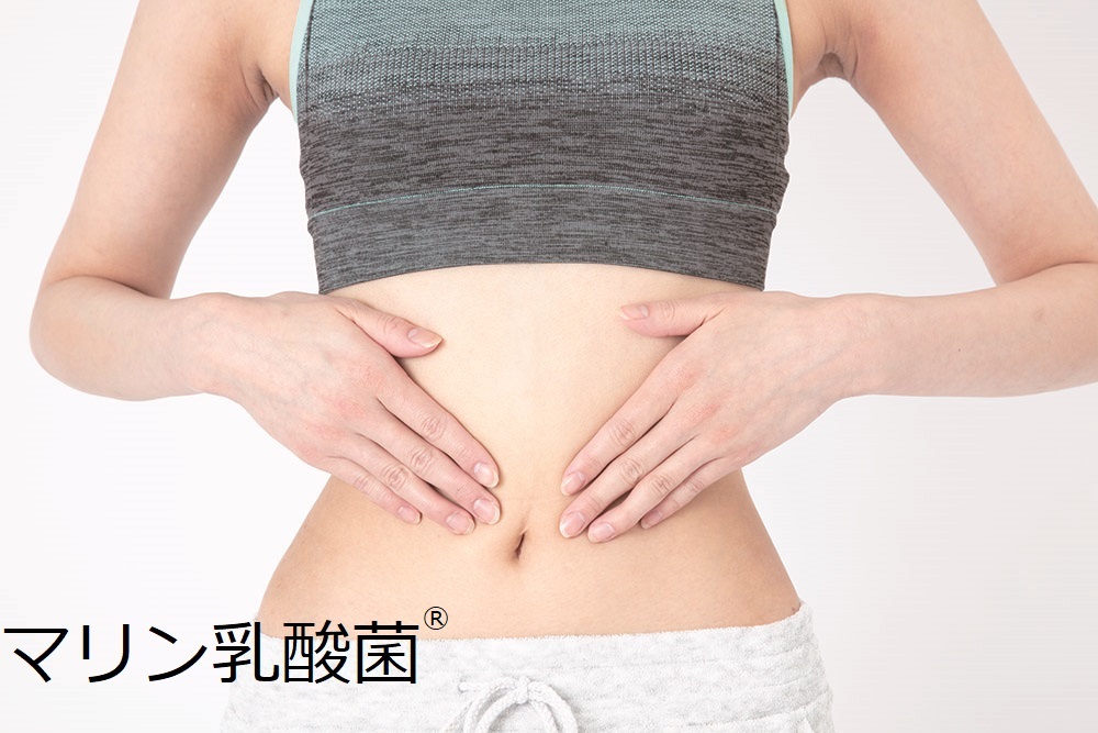 食品原料『マリン乳酸菌Ⓡ』
