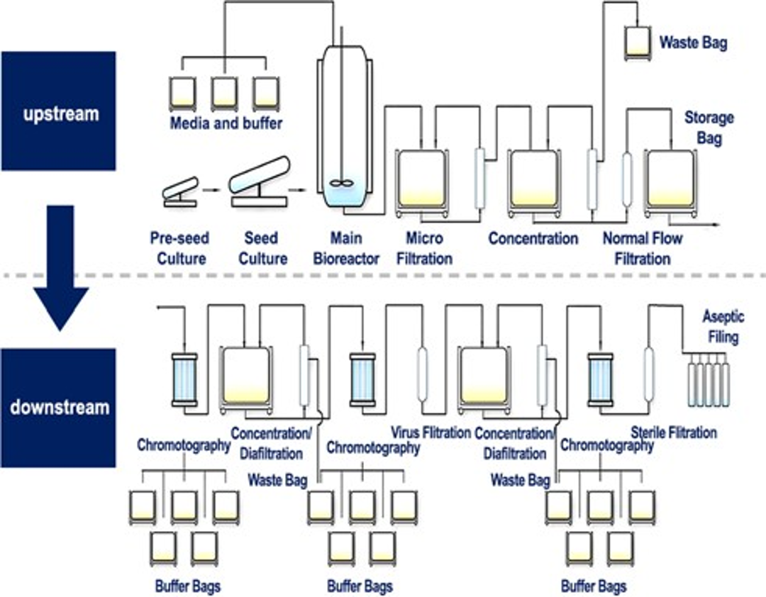 工程能力指数による洗浄基準の妥当性評価