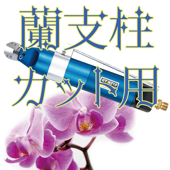 ☆空豆☆NITTO JERRYとKYKLOP 2点セット Amazon | KOITO(小糸製作所) バイクライト テール&ストップ球