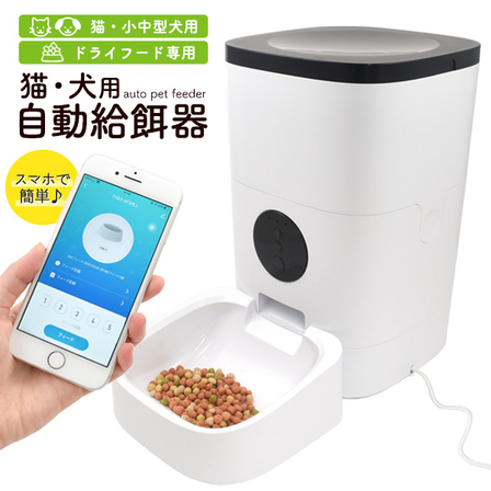 petfeeder-wif-01.jpg