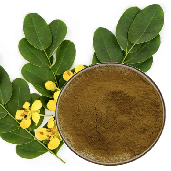 Senna Leaf Extract.jpg