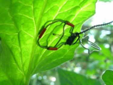 【葉面温度測定】植物センサー『SE-LT-1M』