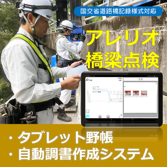 直営点検補助システム『アレリオ橋梁点検』