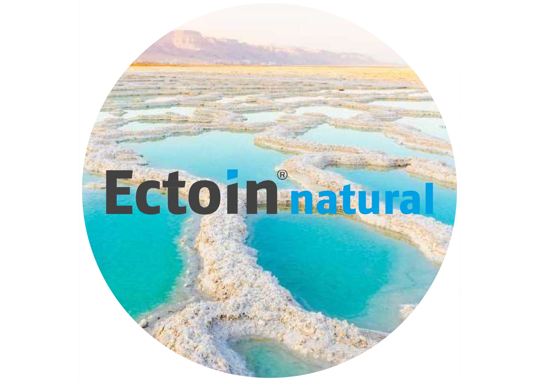化粧品原料　Ectoin natural エクトイン ナチュラル