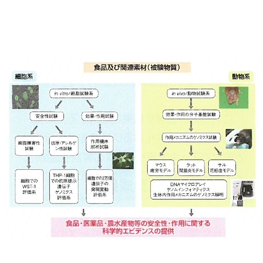 株式会社アイテックラボ 『先進的評価試験サービス』事業紹介