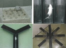 小動物を用いたin vivo効果・作用・機能試験