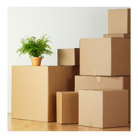pack.jpg