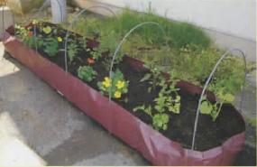 屋上菜園プロジェクト　畝シート