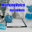 WorkingVoice forLabNote