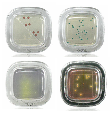 食品・環境微生物検出用培地『ぺたんチェック DDシリーズ』