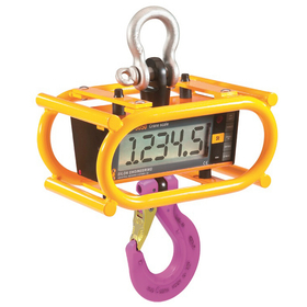 Crane Scale【With 2-inch Large Display】