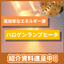 【展示会出展】10秒で300℃まで昇温！高効率ハロゲンヒーター