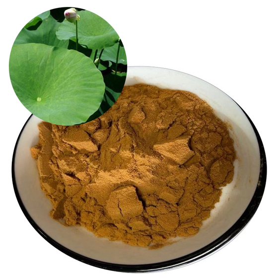 Lotus Leaf Extract.jpg