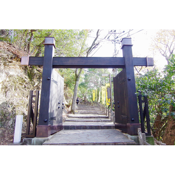 IMGP9255-min.jpg