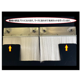 毛丈・左右違いでシール