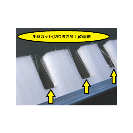 メイン.png