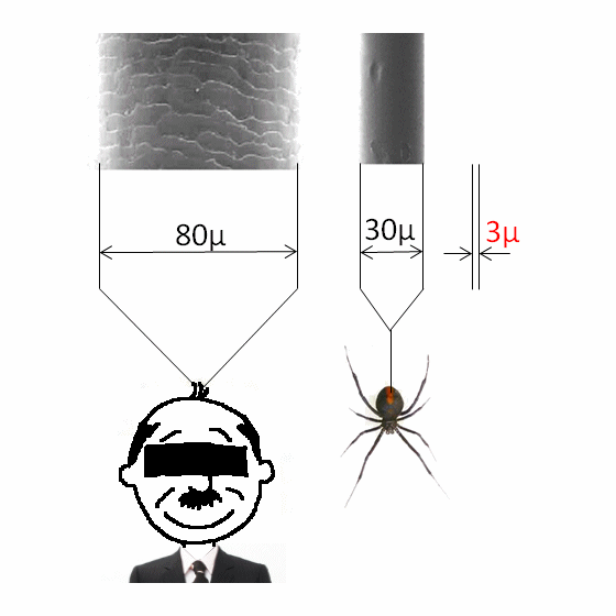 3micron.gif