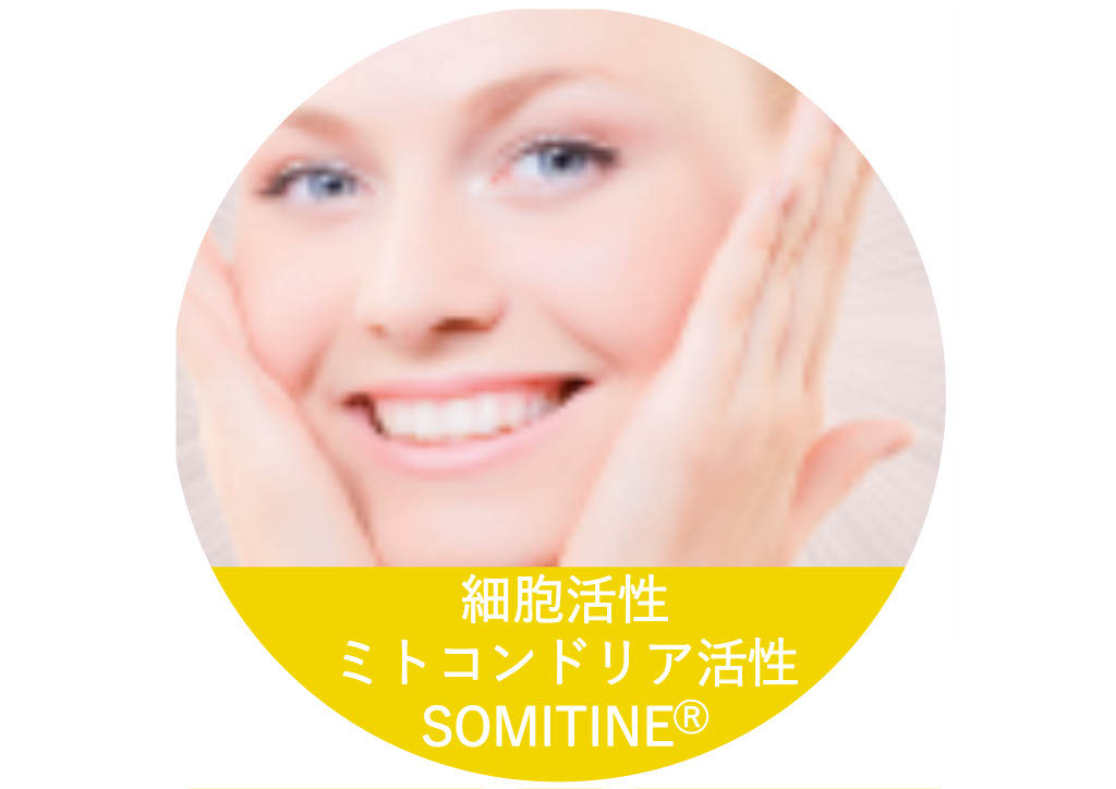 化粧品原料　細胞活性化　ATP産生原料　ソミティン