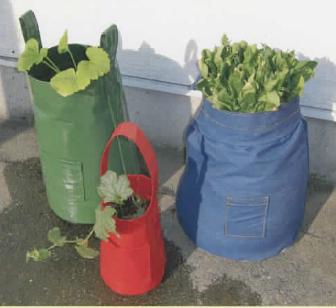 屋上菜園プロジェクト　根菜スタンド