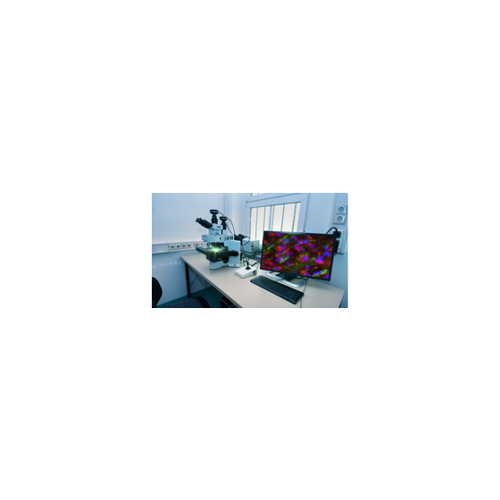 IPROS08563412578783817624.png