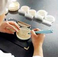 昭和製薬株式会社　事業紹介