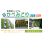 壁面緑化：かべみどり植栽ネットタイプ