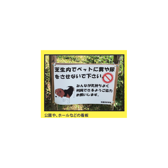 image_16.png