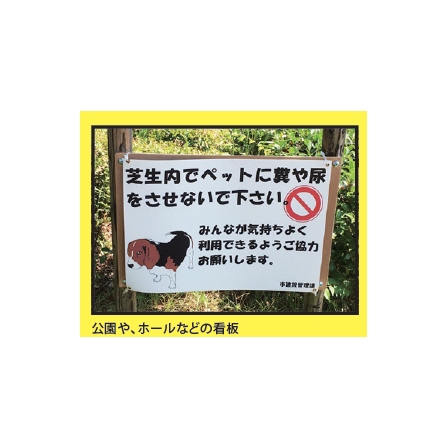 image_16.png