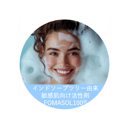 FOMASOL100表紙_page-0001.jpg