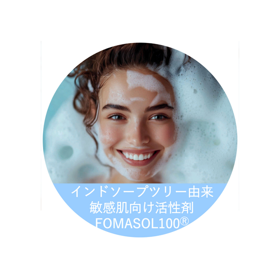FOMASOL100表紙_page-0001.jpg