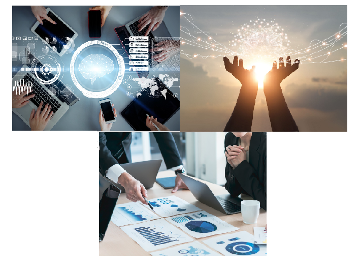 株式会社Roots　事業案内