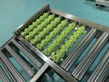 【食品加工向け】タイムロスを無くすクロスローラ式転換機