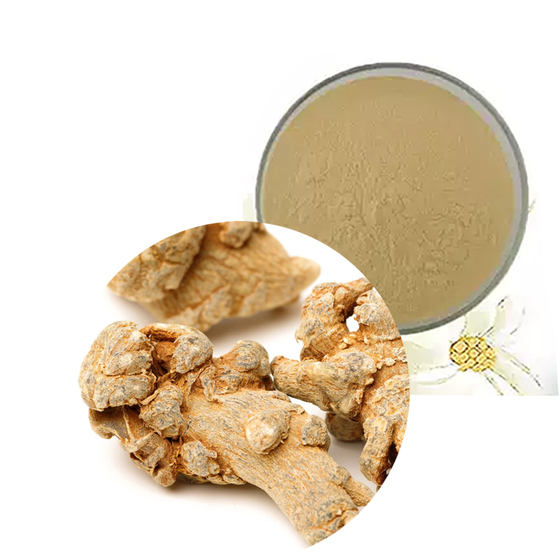 Panax Notoginseng Saponins API Extract.jpg