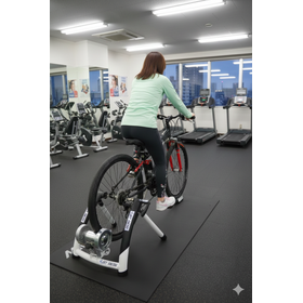 自転車発電機　エネトレ