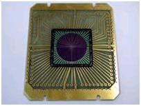 カスタムメイド特殊光半導体　受光素子アレイ