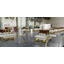 Trolley transport conveyor