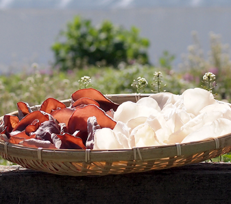 株式会社アスカグリーンファーム　事業紹介